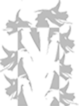 logo  drac apocaleus